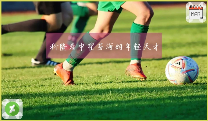 科隆看中霍芬海姆年轻天才