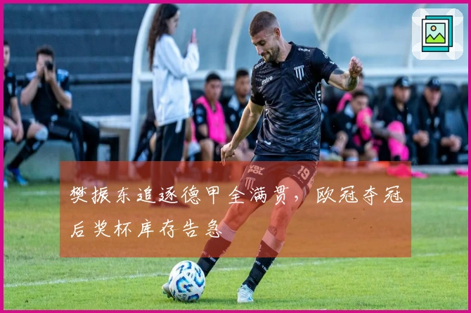 樊振东追逐德甲全满贯，欧冠夺冠后奖杯库存告急
